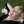 karenkellybrown