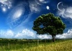 tell you what your dreams mean