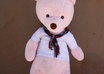 create a funny stop motion video with the pinkbear in Gangnam style mode small1