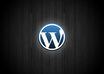 fix WordPress ERROR / Problems / Issue