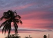 send you a postcard from Puerto Rico