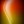 playweb