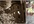 create a FaceBook collage cover for your timeline/page