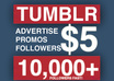 promote you on my tumblr and twitter with over 20k real active followers