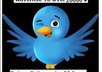 add 5000 twitter follower with in 2 days
