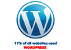 resolve your Wordpress issue/problem