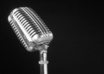 voice 30 seconds of audio in female voice