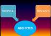 write an essay of 800 words fully edited on any topic on Neglected Tropical Diseases