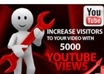 add on your youtube video 5,000++ views, super fast and always over delivering