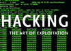 make a soft penetration test on your website