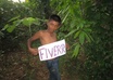 make your website,valentine wish,birthday wish or any message with dance in a jungel small1