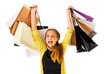 show you how to become a mystery shopper