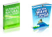 design a high resolution professional ebook cover small1