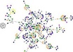 conduct social network analysis on your data