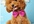send you a cute pet tie