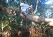 give your funny video for promote your any message in a unique style by CATCHING a fish in a natural water stream small1