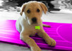 revamp up to 3 photographs for you