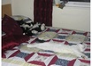 send you a picture of one of my cats every day for one month