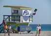 give you a list of Miami top restaurants, hotels, clubs, bars, and fun things to do and more