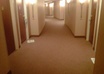 match you up with items or services you are looking for on Craigslist