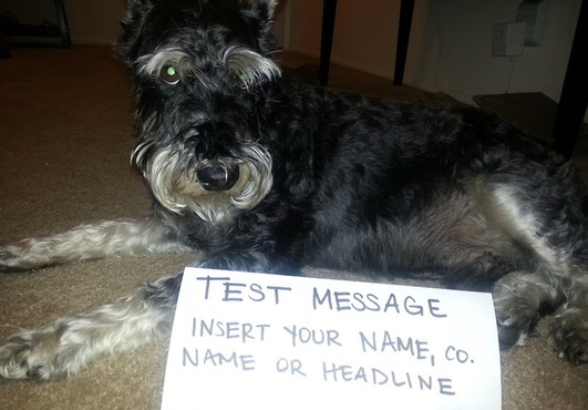 alt_text.html_safe