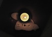 create a carved wax message of your choice