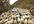 show you how to get over 2500 backlinks and 4 EDU auto approve comment