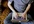 dramatically IMPROVE your web with 10 tips in 3 days
