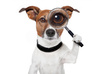 edit and proofread your 1000 words text, article, press release, etc in Italian for professional level grammar, punctuation and clarity small1