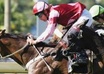 give you my horse racing tip of the day