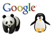 recover your website from sandbox, any of the google algorithm panda or penguin