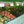 medde_br