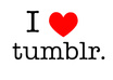 create a niche Tumblr blog with 300 ready posts and teach you how to monetise Tumblr
