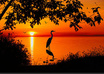 have a live Relationship Coaching Session