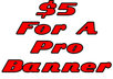 make a professional banner