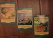 provide a one card Oracle Card Draw for you