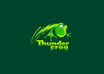 design a PROFESSIONAL logo design for your blog, company or business logo design