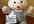 take a picture of a Teddy Bear with your message