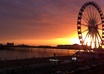 take a photo of anything Brighton related