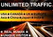 Web_traffic_(2)_%e2%80%93_kopie