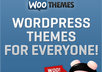 send you 5 WooTheme Wordpress Themes of Your Choice