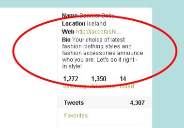 place your URL as a profile web link on a Twitter bio page of an aged active account with over 1300 followers big1