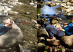 professionally retouch 3 photos and perform any photo manipulation