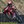 superbikecoach