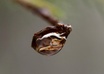 take a macro/micro picture of almost anything