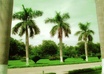 play anything you request on bamboo flute and say your message