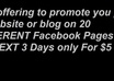 promote your website on 20 different Facebook Pages