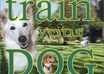 teach you how to train ANY dog in a positive, gentle, and very effective way