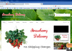 Web1