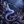 sea_siren